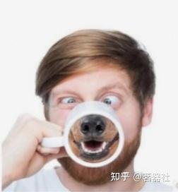 图片[5]|我的兄弟和我同时爱上了蜜壶的蕾姆杯杯|蜜壶屋