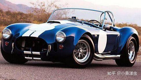 不灭神话accobra眼镜蛇