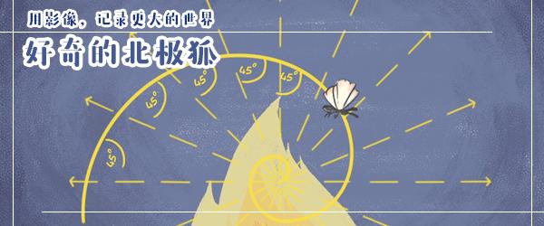 扑火的飞蛾为什么不会飞向太阳?| 好奇的北极狐