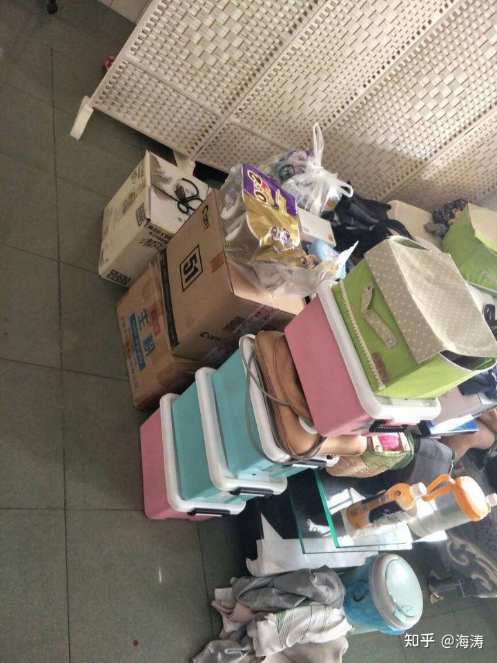 家里出现有衣蛾主要分布在哪里家里衣蛾幼虫怎么彻底地消灭干净