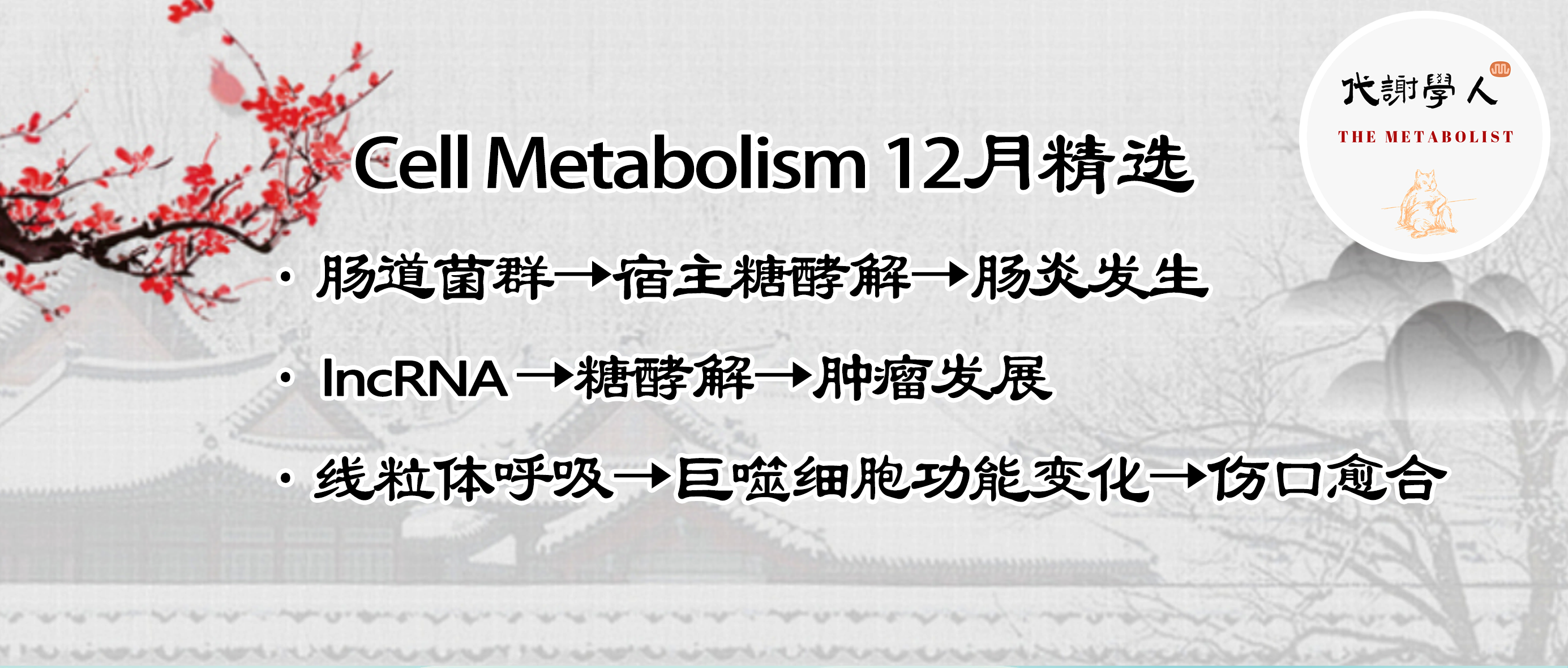 代谢学人--Cell Metabolism 十二月刊精选 - 知乎