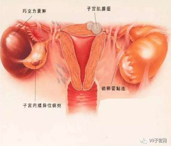 v2-a78e09f5e1898b63689eab8485e85ba9_1440w.jpg?source=172ae18b
