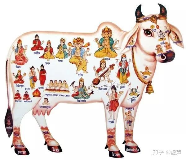 印度人的神牛情结