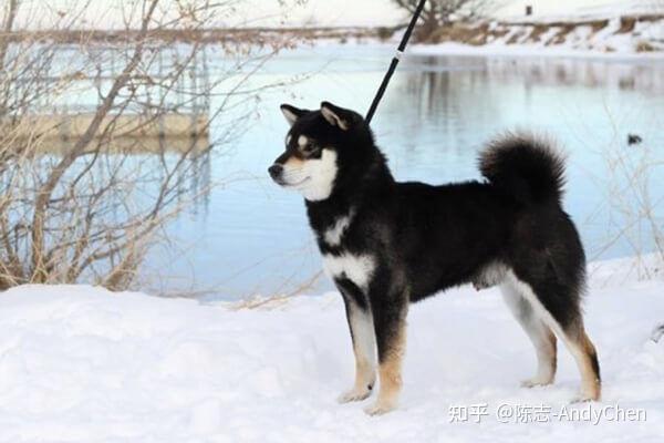定期分享你学习过程中遇到的技巧与经验