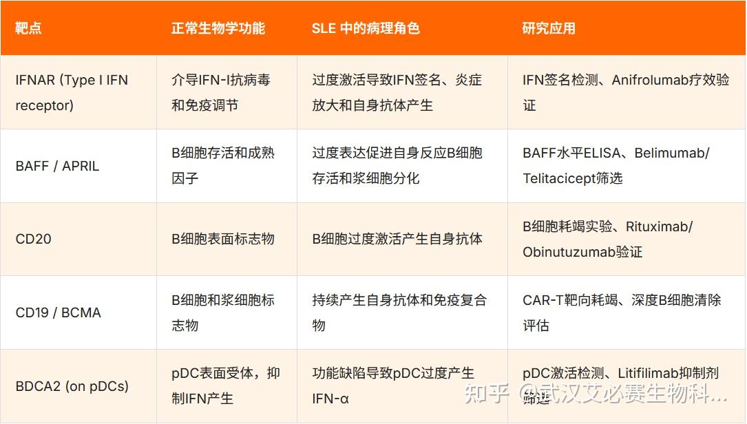 2025 SLE 前沿速递：从靶点机制到临床治疗，高效工具全梳理，科研必看 - 知乎