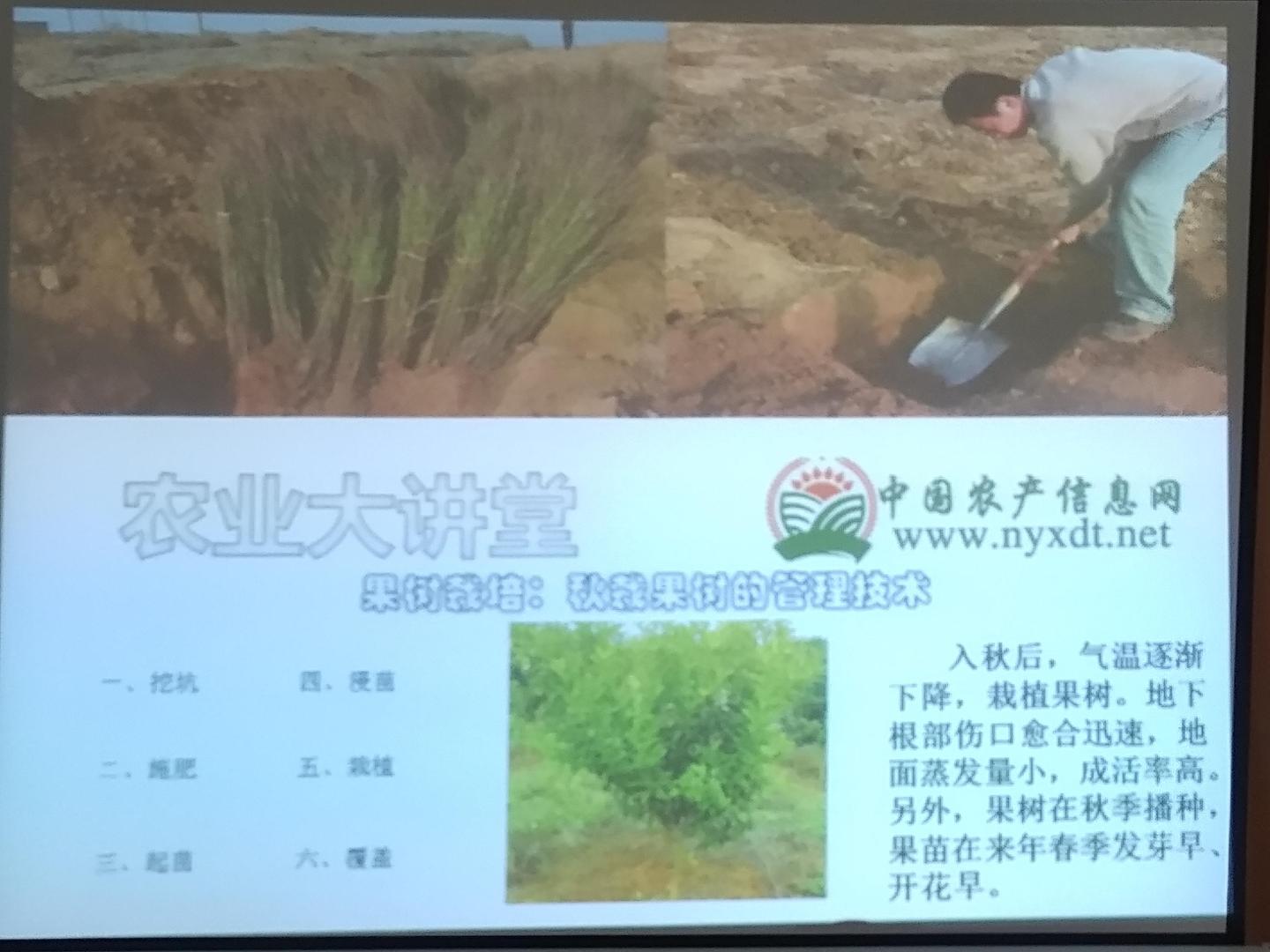果树栽培 秋栽果树的技术要点 知乎 果树栽培 秋栽果树的技术要点 知乎