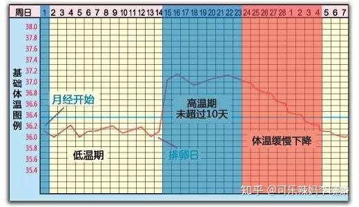 这个时候我们还可以通过基础体温的方式来测排卵