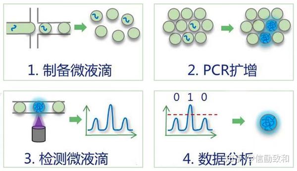 知识分享 | 学会几种PCR，走遍天下都不怕！ - 知乎