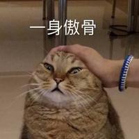 一身傲骨