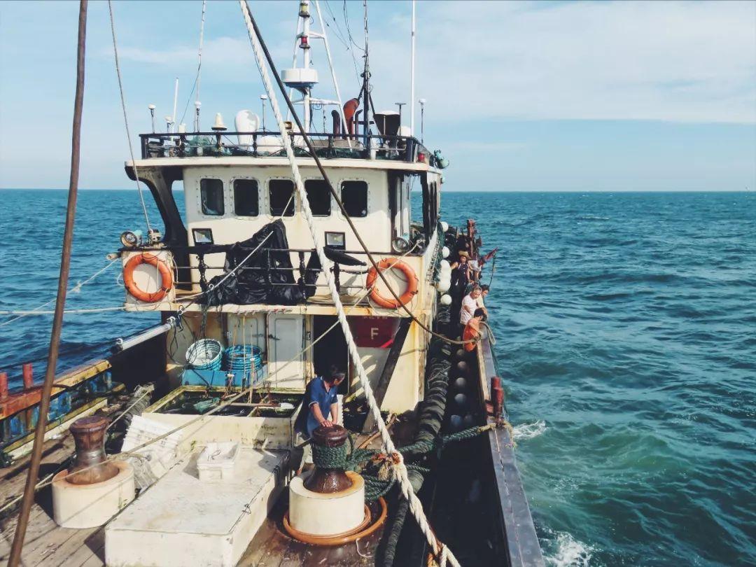 浯屿岛岛民阿晓:资深策划的卖鱼哲学 - 知乎