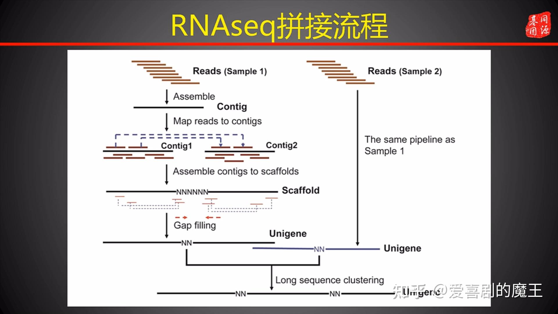 基因拼接技术图片