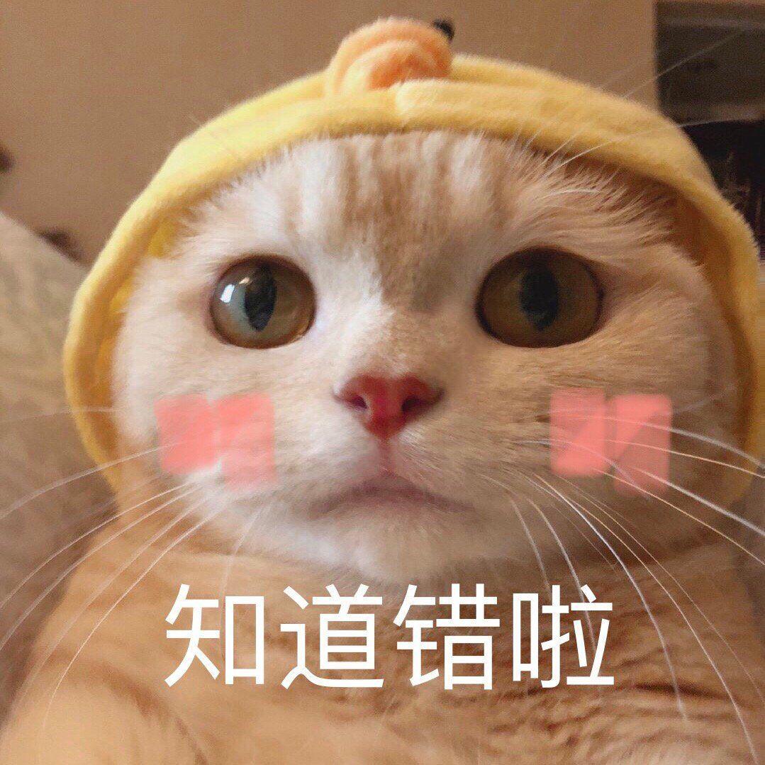 有没有可以跟情侣撒娇的表情包