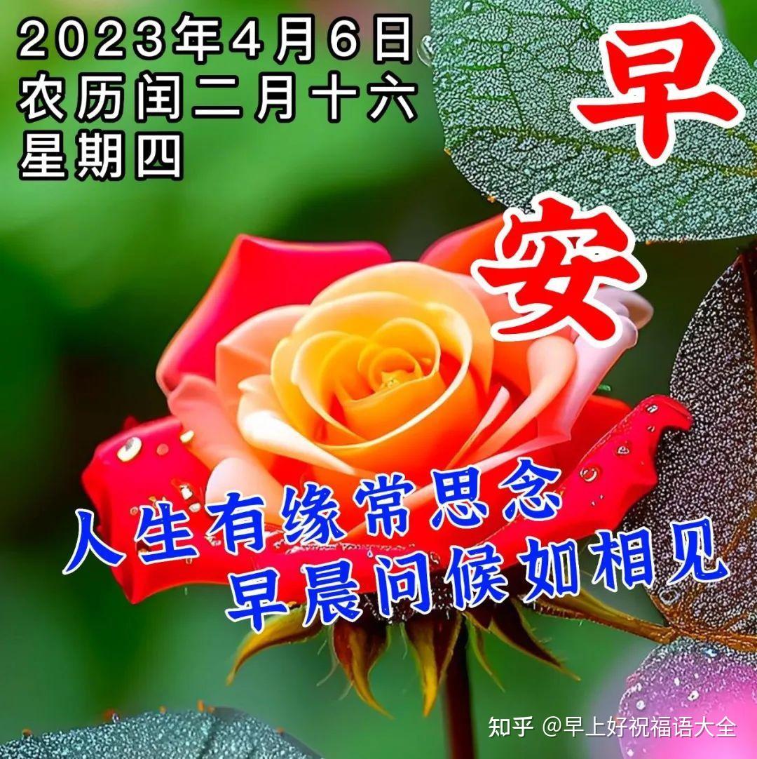 4月6日周四早上好温馨唯美漂亮祝福图片- 知乎