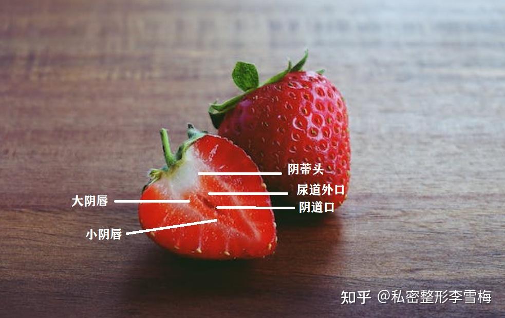 你不知道的阴道“小江湖”！ 知乎 