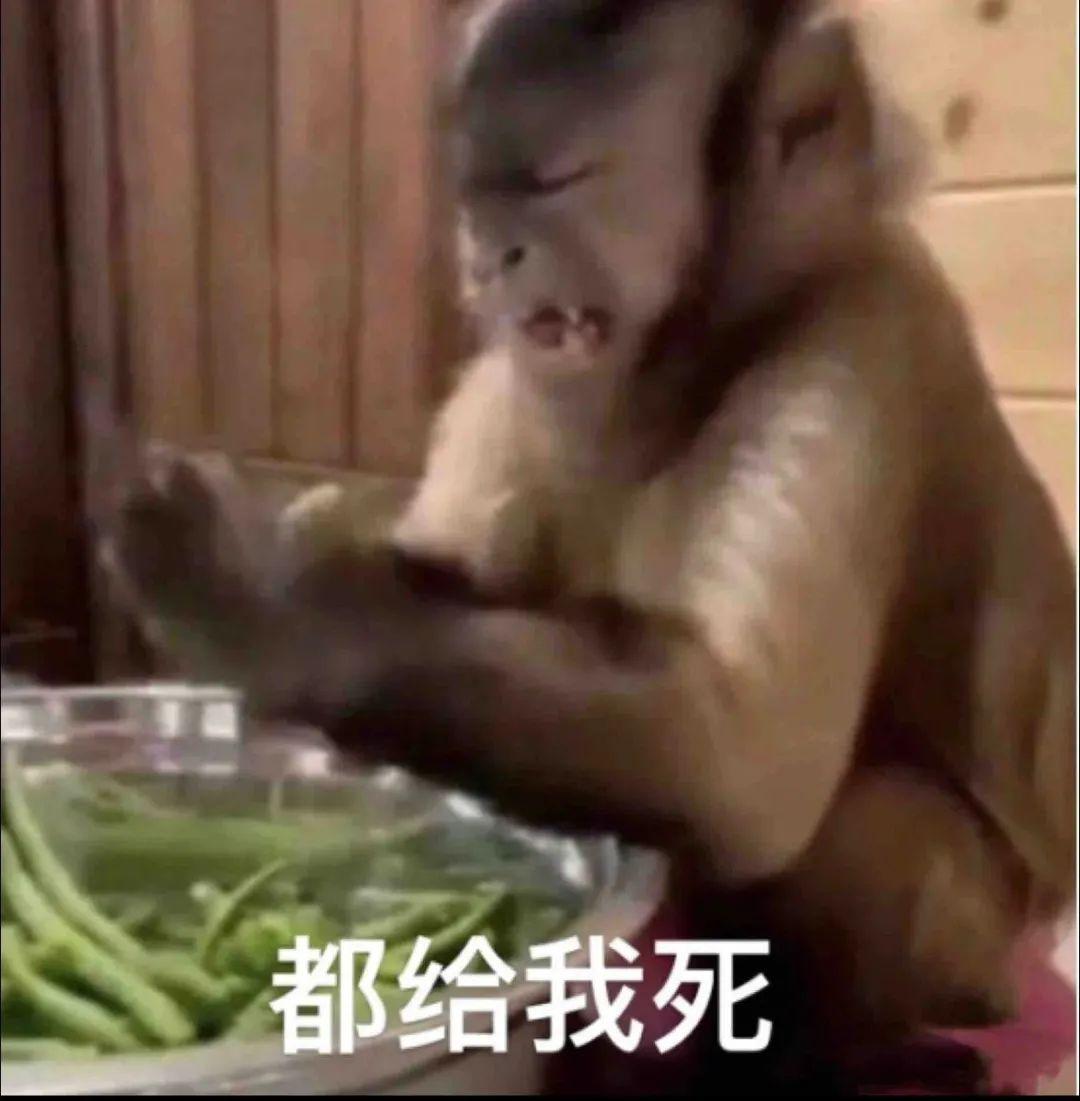 吗喽表情包来啦… - 知乎