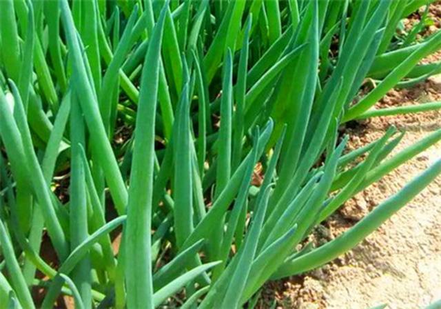 v2-a7e7b47e05f3a11e741581771e16cb6b_1440w.jpg?source=172ae18b