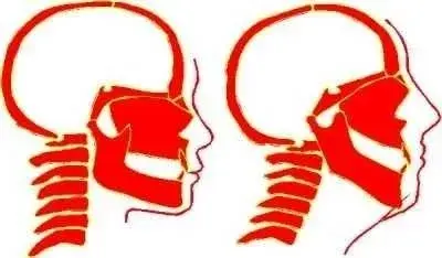 v2-a7e90e7c06c333e645de090fe5d5cc29_b.jpg