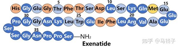 Hypothalamic Hyperphagia in the Hospice Patient: Case Report and ...