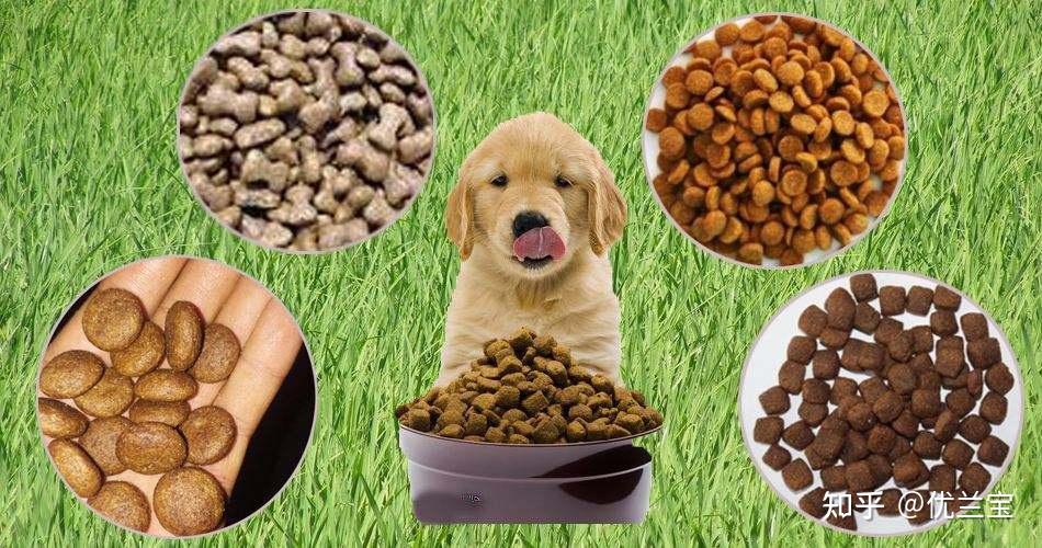 常见的宠物食品添加剂有哪些 知乎 