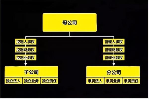不同规模企业会计岗位设置情况