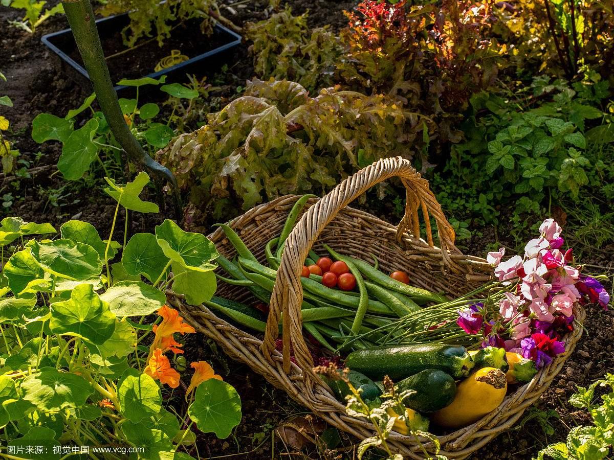 以幸福为粮 做一个自给自足的农夫 知乎