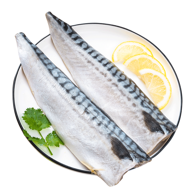 来自大西洋挪威海域的独特鲭鱼,你确定不尝尝鲜? - 知乎