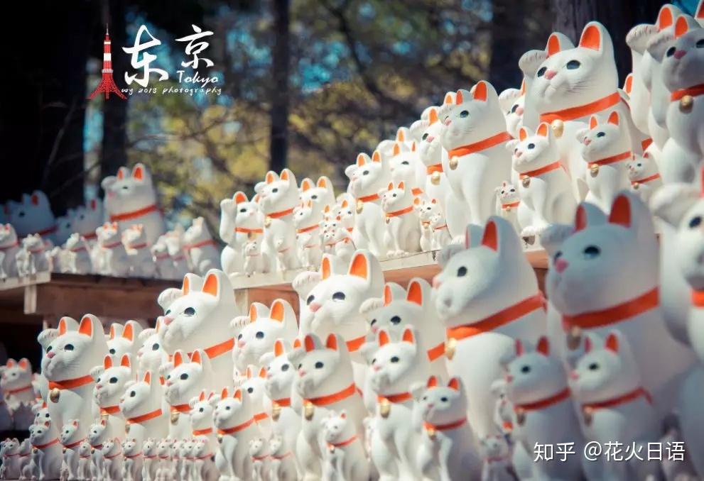 日本的猫文化:日本人为何痴迷爱猫,带你走进神秘的日本猫世界