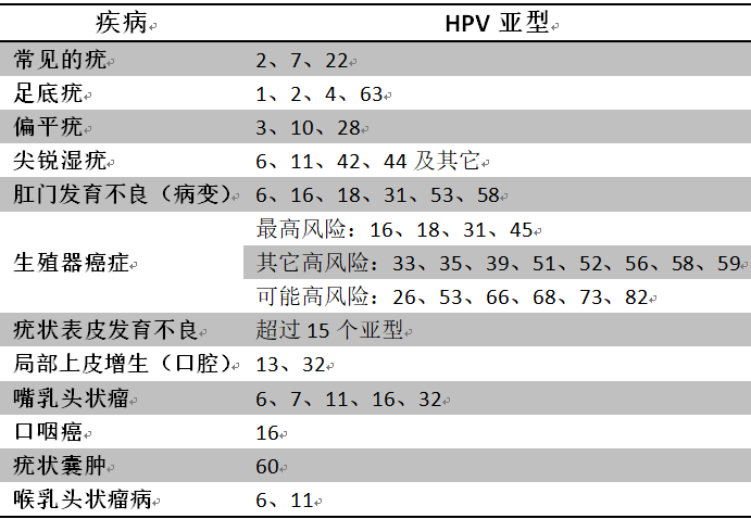 v2-a81c94a3f1330939f73da2d84d2a3bb9_r.jpg