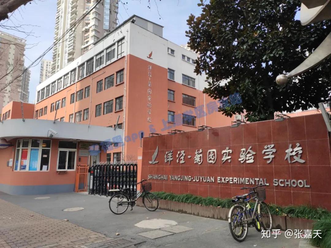 分别是:位于碧云的上海市实验东校,位于陆家嘴的洋泾菊园实验学校
