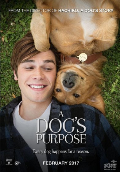 Unleash the Unconditional Love – Watch “A Dog’s Purpose” for Free Online