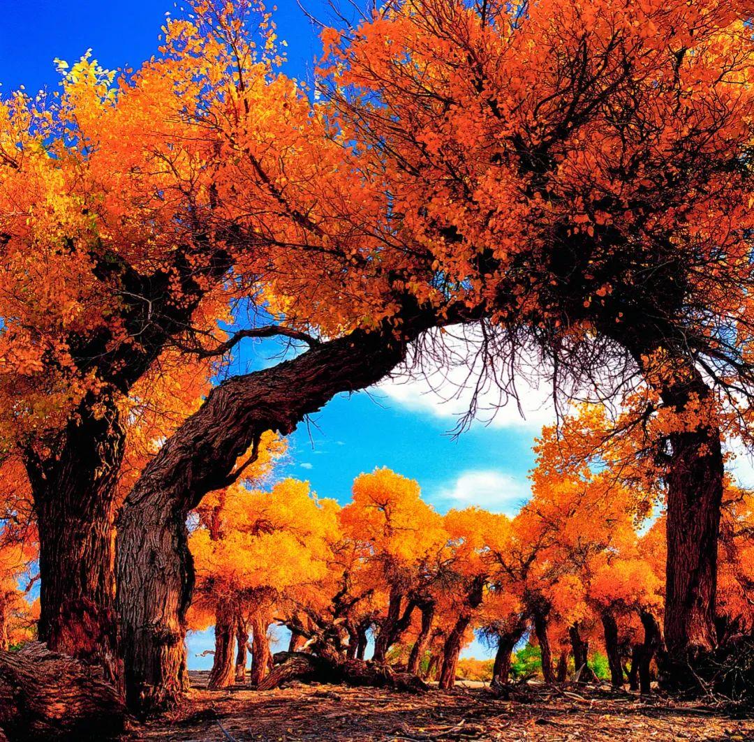 v2-a826604fe6405cd9cf2fb27c1e85f115_r.jpg