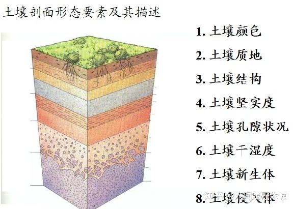 2010年节假日