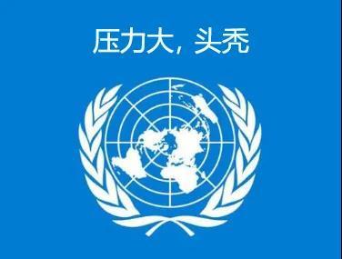 种子101 你爱的食物有没有被收入种子的诺亚方舟 知乎