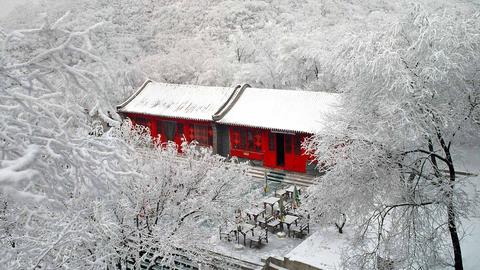图标