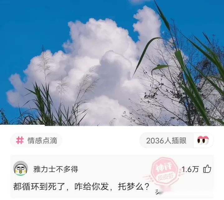 海阔天空我和刺客在想你