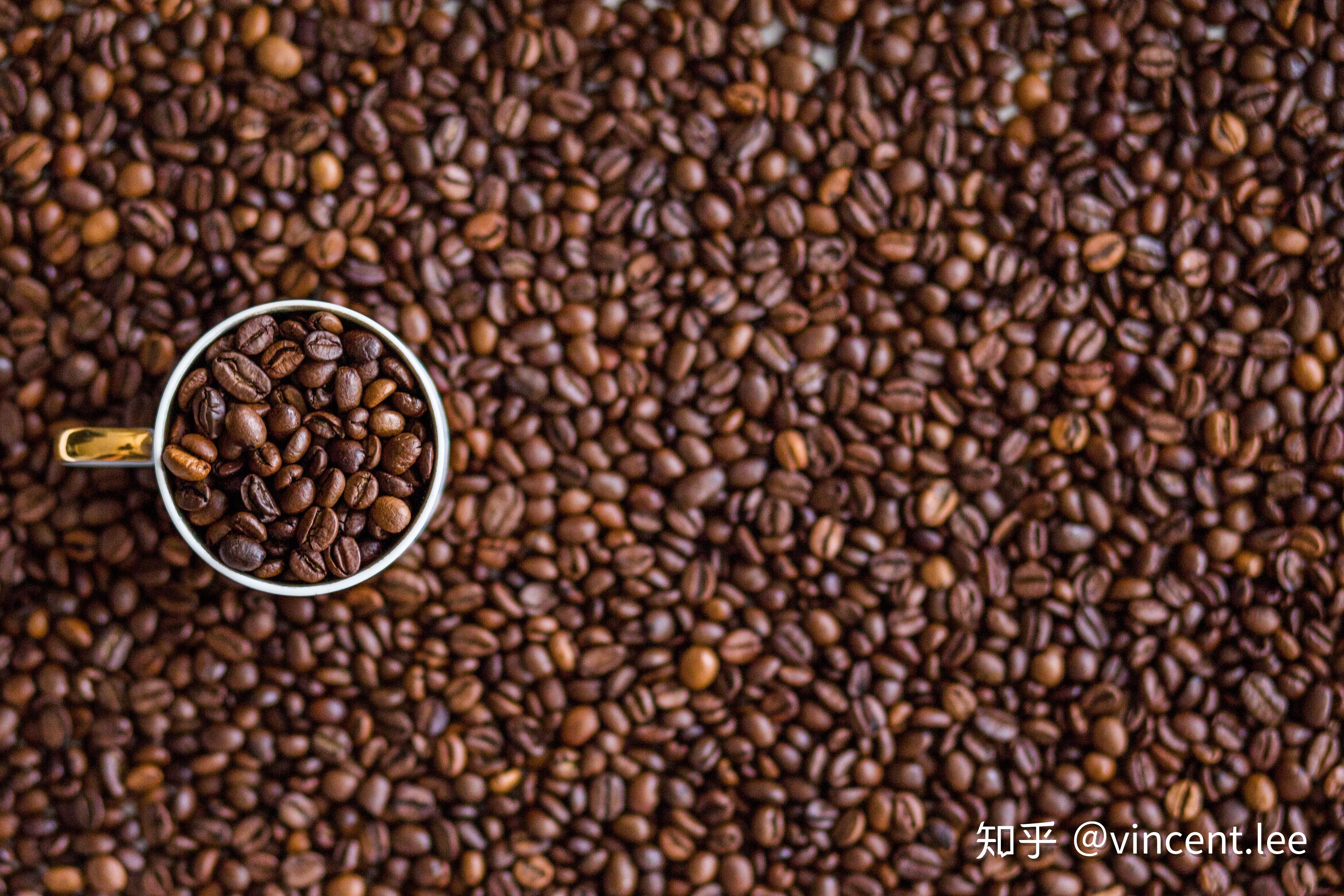 德国牌子的咖啡豆在jd有那些