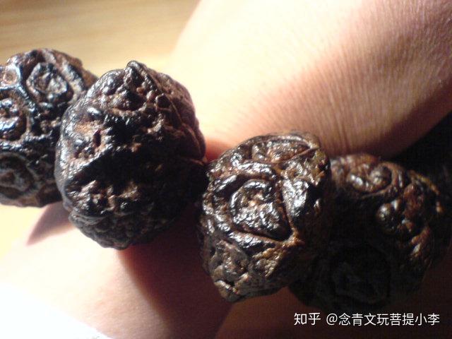 文玩漲姿勢什麼是鬼臉菩提