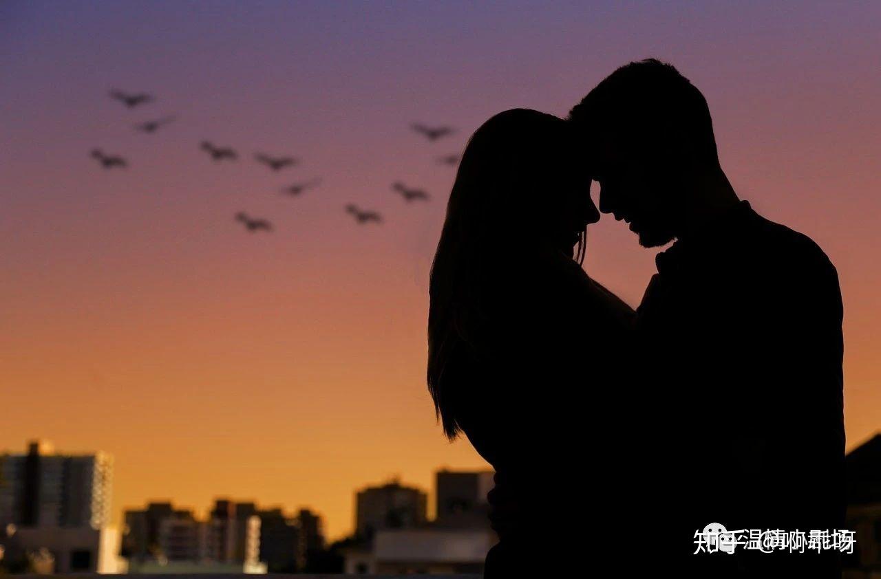 v2-a86d1443adc8637944a7e5366d179ac9_r.jpg