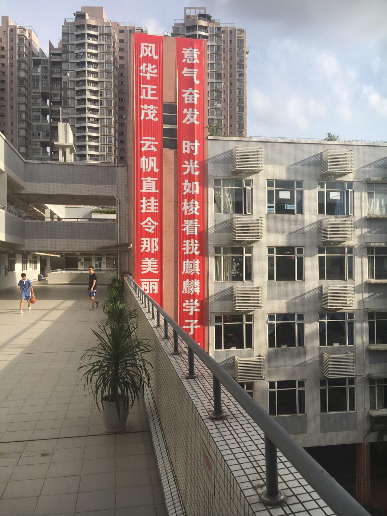在深圳市南山实验学校麒麟中学部就读是怎样一