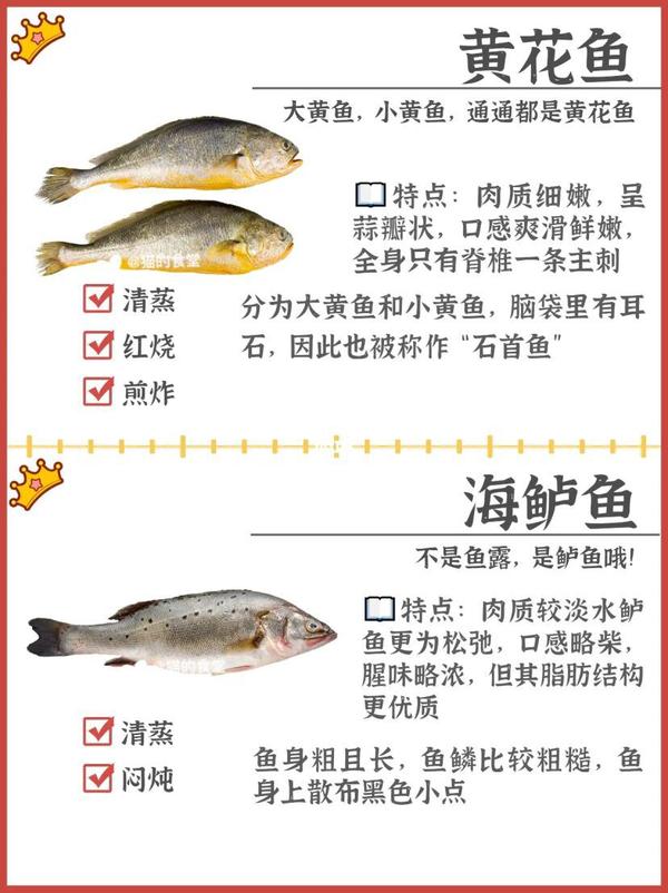 科普:海鱼种类 - 知乎