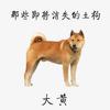 为什么中华田园犬会被禁养呢 知乎 为什么中华田园犬会被禁养呢 知乎