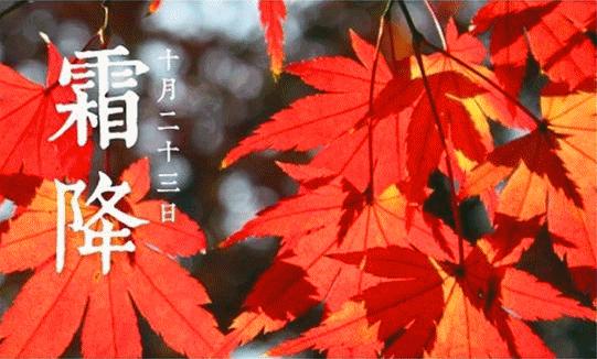 今日双降霜降温降还不快进来食补补补能量