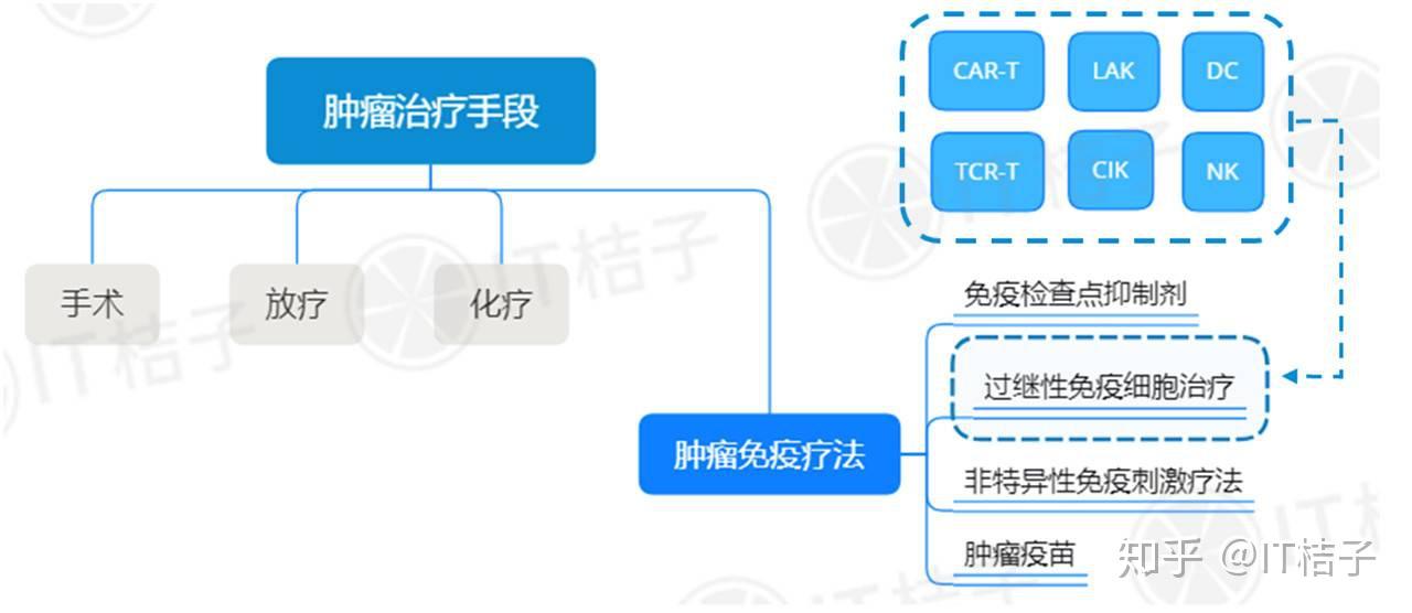 血清疗法的原理是什么意思_血清高是什么原因(2)