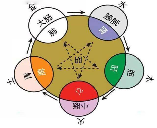 肺大胃脾心小肠 zhuanlan.zhihu.com