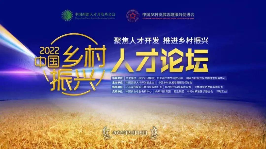 助力乡村复兴的例子
