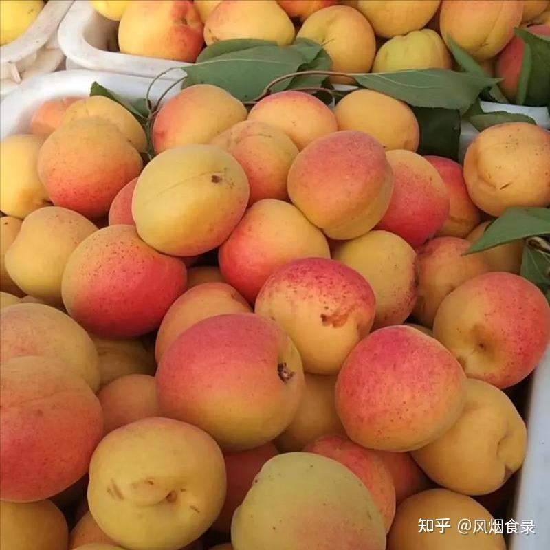 中国哪的“杏”最好吃？经过评选，这10个地方上榜，有你家乡吗？ - 知乎