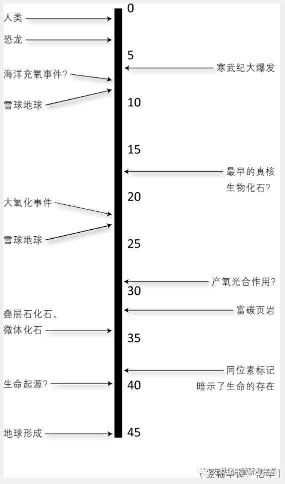 第一部 问题我们还发现,所有的地球生命,无一例外都利用质子梯度供能.