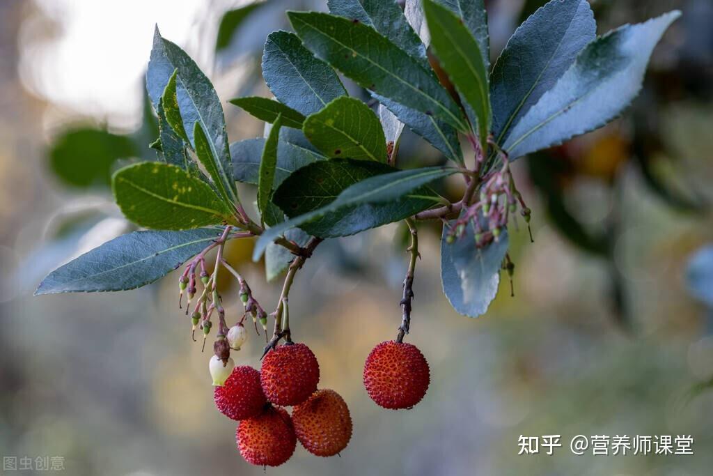 阳春三月,养肝“黄金期”!多吃3种食物,滋阴养肝 - 知乎