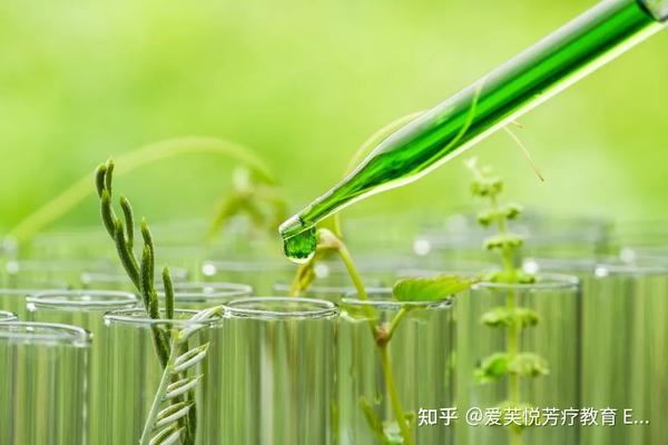 怎样提高免疫力清除hpv病毒
