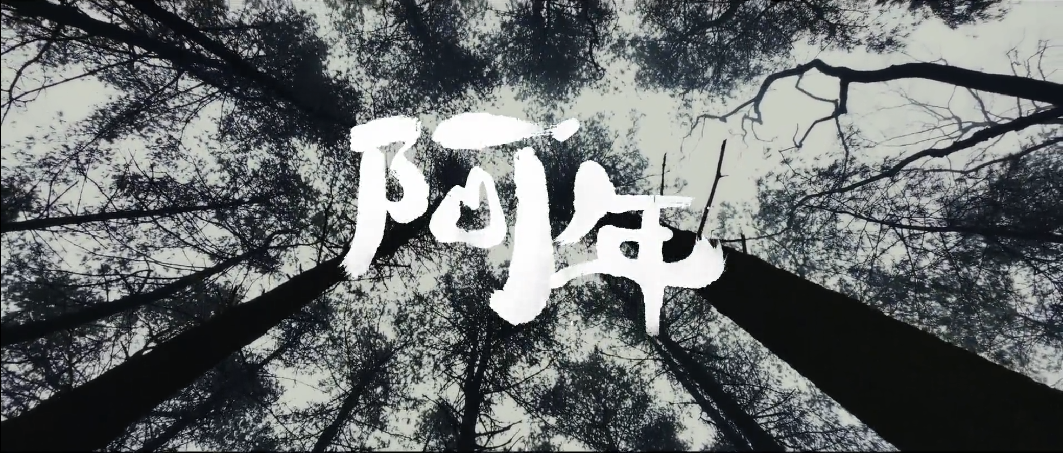 如何评价王子逸导演用iphone12promax拍摄的贺岁片阿年